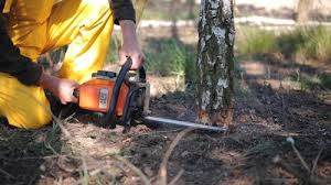 Best Soil Testing and Treatment  in Keeseville, NY