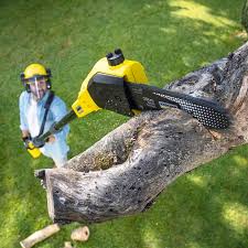 Best Lawn Maintenance Plans  in Keeseville, NY