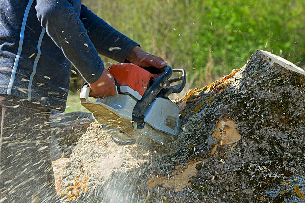 Best Lawn Mowing  in Keeseville, NY